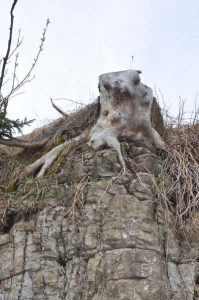 salzburg-15_0018_2019-05-25_14-25-16